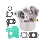 Premium Engine Lawn Mower Carburetor for BS 790120