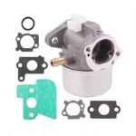 Premium Engine Lawn Mower Carburetor for BS 790120